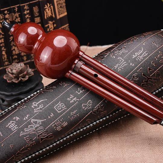 吹奏类乐器 胶木木纹葫芦丝专业演奏型葫芦丝民族乐器葫芦丝