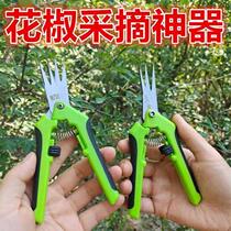 Pepper picking artifact pepper picking artifact pepper picking artifact pepper picking artifact special scissors scissors