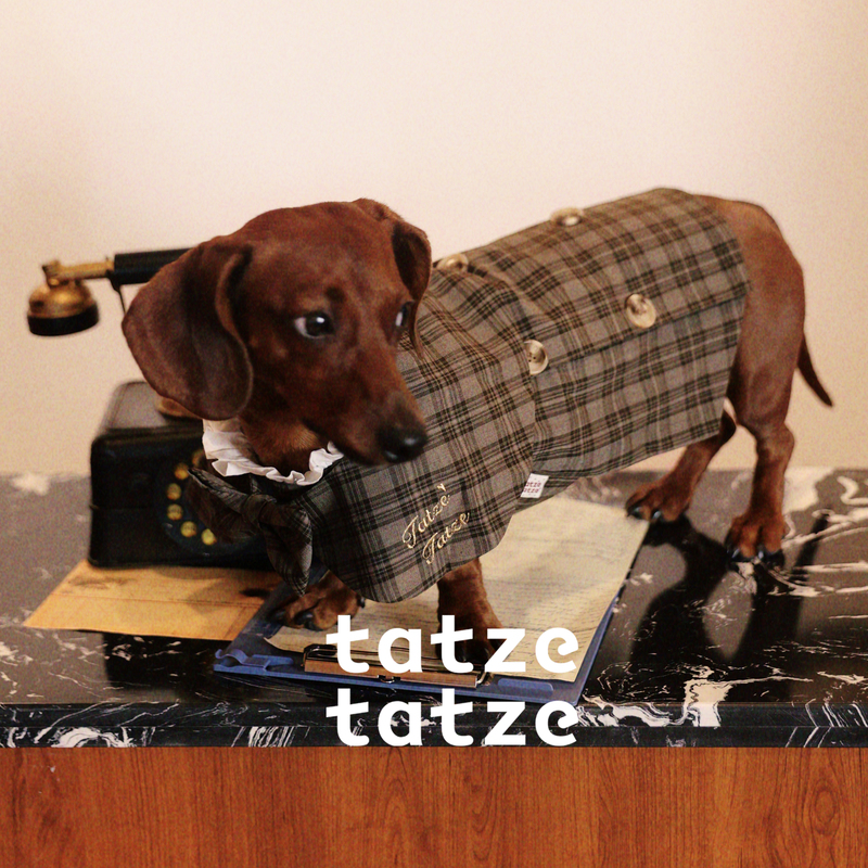 Tatze Pet Autumn and Winter Academy Series Plaid Embroidered Dress Shawl Vest Elegant and Cute Butterfly Dress Tatze Pet Autumn and Winter Academy Series Plaid Embroidered Dress Shawl Vest Elegant and Cute Butterfly Dress