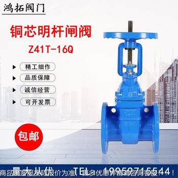 Handwheel hard seal flange ductile iron copper core copper rod protective open rod gate valve 41-16 national standard valve parts