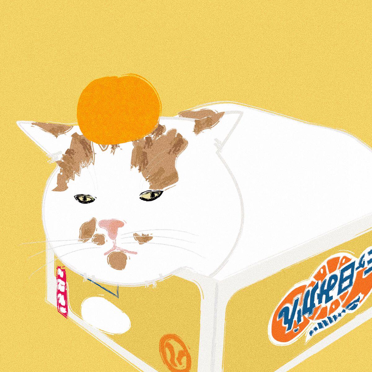 橘里有猫