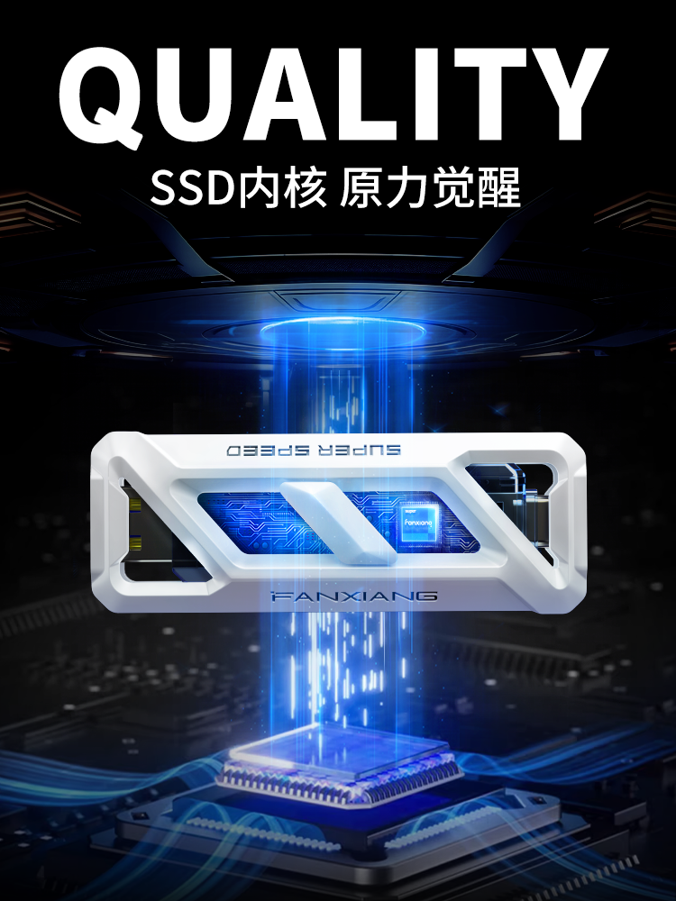 Fanxiang Solid-State USB Flash Drive Typec Dual-Interface Mobile Phone Dual-Use Large Capacity 256g High-Speed 1t Mobile Hard Drive Ff958