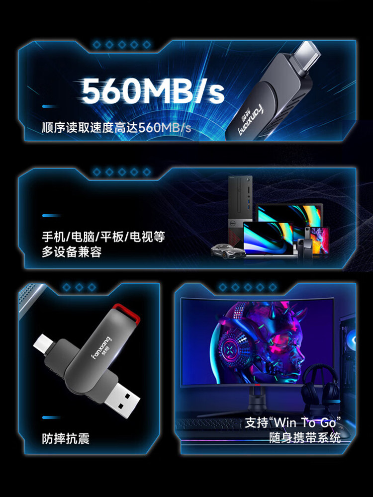 Fanxiang Official Genuine Solid-State USB Flash Drive Typec Large-Capacity High-Speed Mobile USB Flash Drive for Mobile Phones and Computers Ff520
