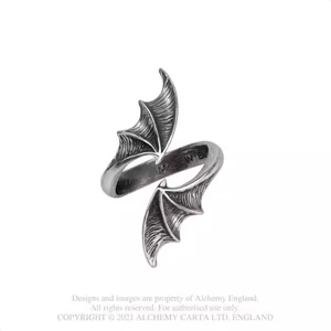 Пятно сладкой крови · Аутентичное кольцо Alchemy Gothic British ANIGHTWITHGOETHE R244