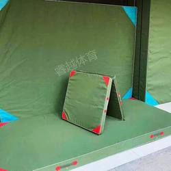 Gymnastics Mat Wrestling Flip Mat Dance Training Mat Martial Arts Protection Mat Taekwondo Mat Sports Training Mat Folding Mat