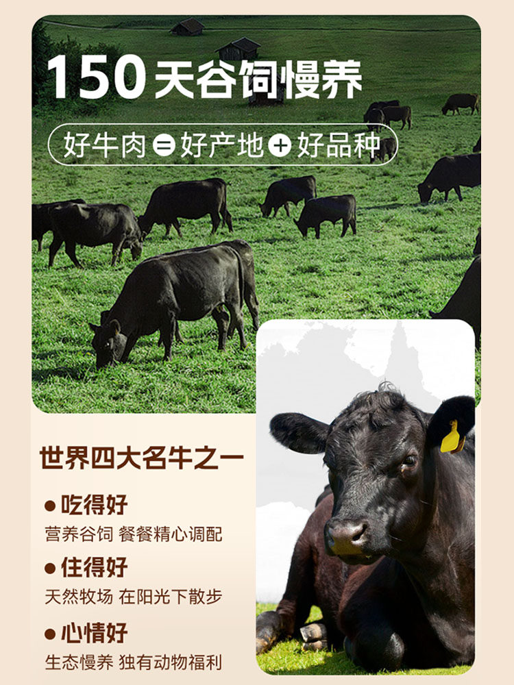 Mr. Kangaroo Beef Crispy Angus Steak Crispy Ultra-Thin Beef Slices Air-Dried High-Protein Beef Jerky Snacks for Fitness