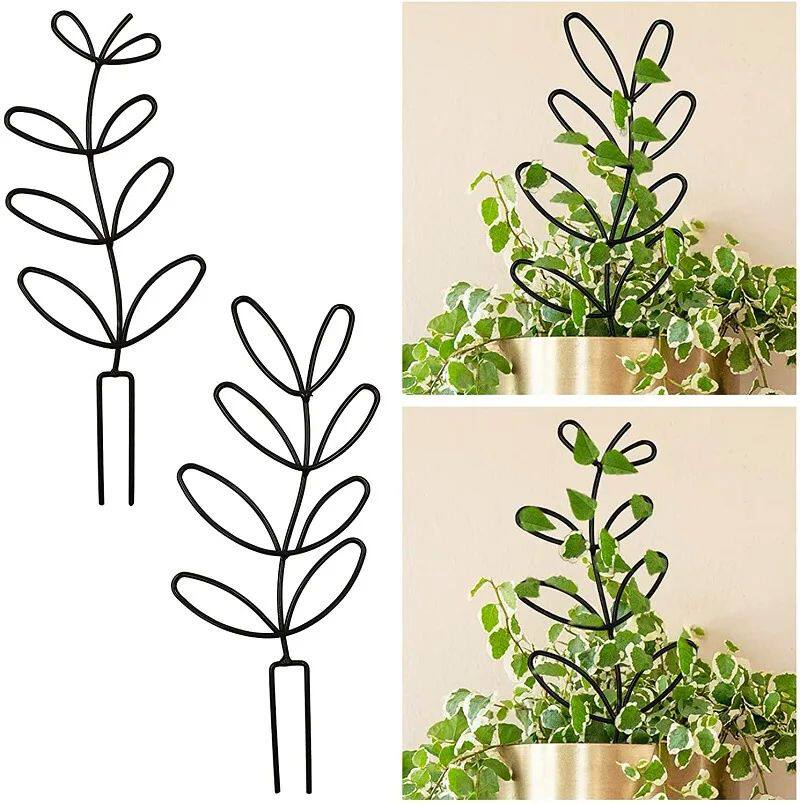 Decoration Indoor Outdoor Potted Ornament Garden Arrangement