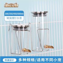 Squirrel pin-glass anti-bite dragon squirrel water powder hedgehog bag-buckle hamster feeder