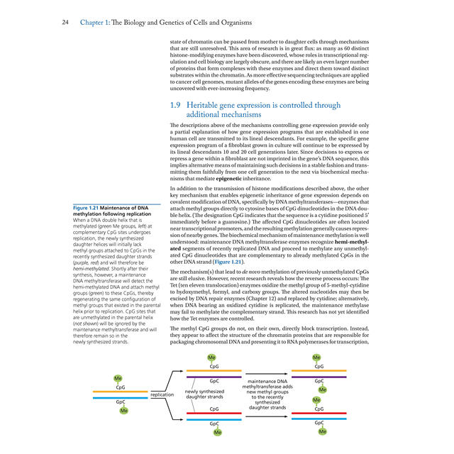 The Biology of Cancer 2Nd Edition
