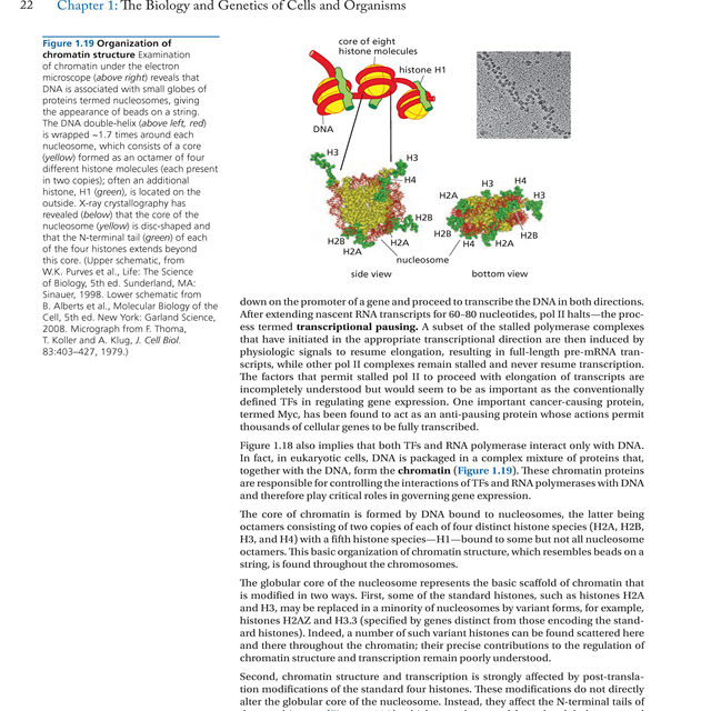 The Biology of Cancer 2Nd Edition