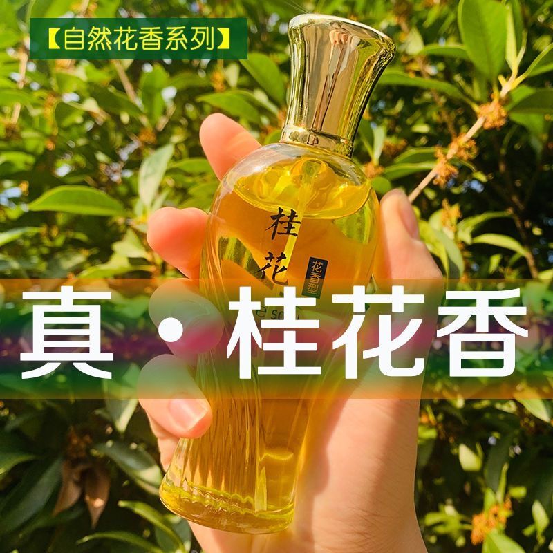 Old-Brand Domestic Osmanthus-Scented White Orchid Perfume for Women, Long-Lasting Fragrance, Lavender Gardenia, Fresh and Elegant, Niche