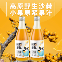 Plateau wild small fruit sea buckthorn original berry juice drink Siguniang Mountain specialty VC syrup in Xiaojin County Aba Prefecture