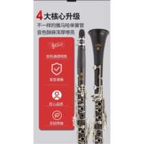 Clarinet instrument B flat 17 key basic examination professional ebony clarinet