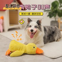 Dog toy plush bite-resistant molar-making sound puppy alone to relieve boredom artifact Golden Retriever Corgi dog pet supplies