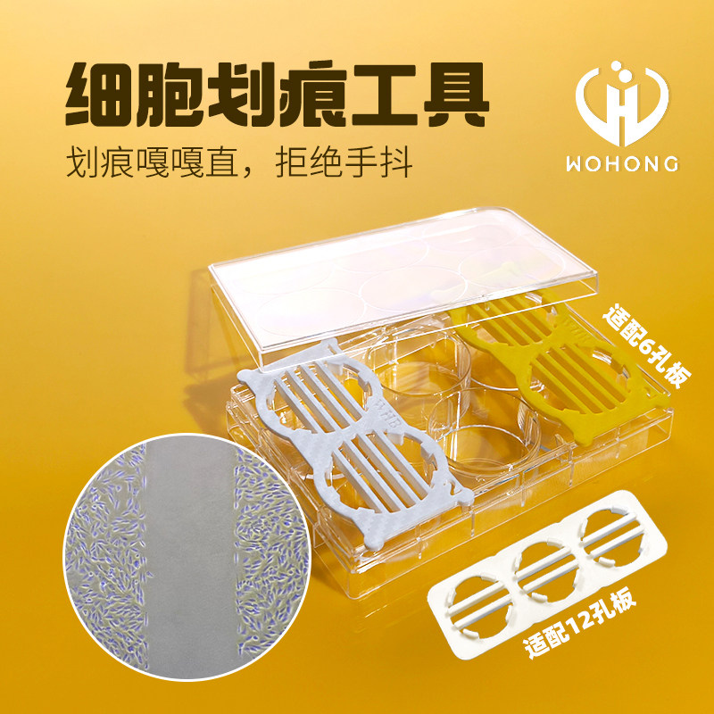 WHB细胞划痕工具神器插件独立包装轻松划痕直线适配6孔板12孔板划痕实验专用操作更便捷适配200ul移液器枪头
