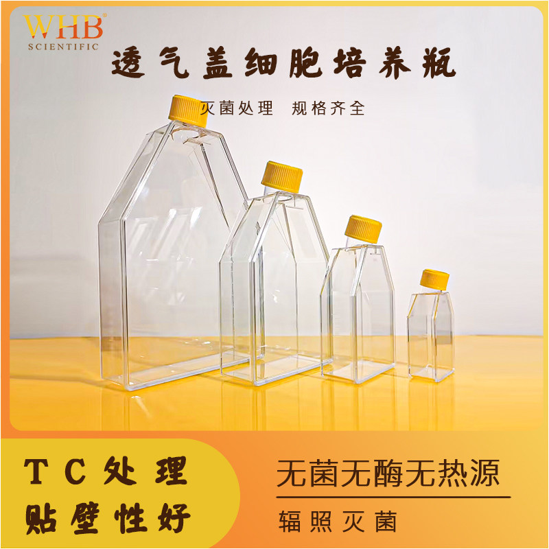WHB透气盖细胞培养瓶斜口透明瓶T25T75T150T300规格齐全TC贴壁处理斜颈培养瓶无菌无酶无热原已灭菌