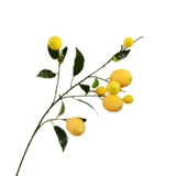 Имитация зеленого растения, прямые продажи с фабрики, искусственные фрукты, искусственные цветы, желтые ягоды, имитация фруктовых веток лимона