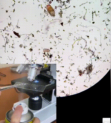 20260427_150145_073.gif
