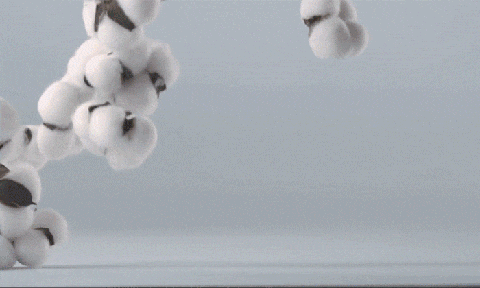009.gif