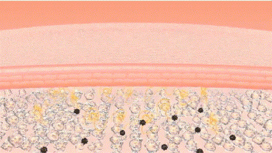 20241023_101944_024.gif