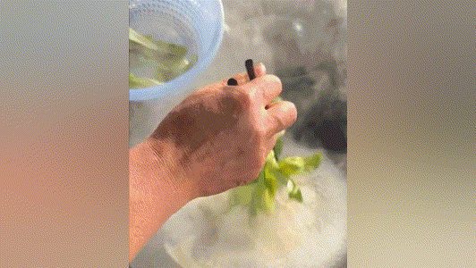 20240327_155623_023 (1).gif