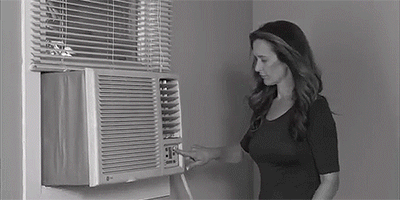 14.gif