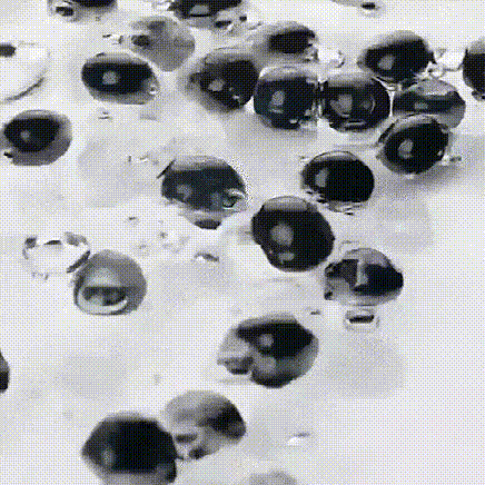 20240429_093730_014 (1).gif