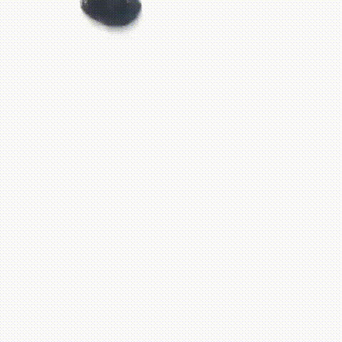 20240429_093730_026 (1) (1).gif
