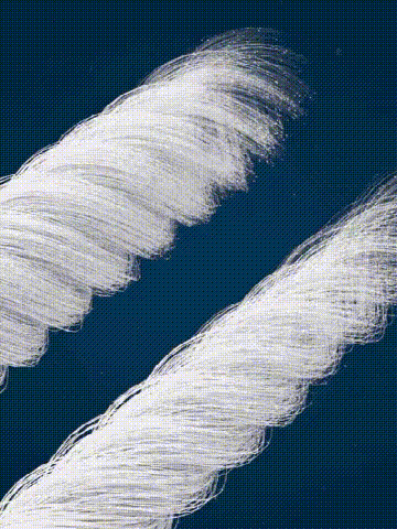 20240524_104140_014 (1) (1).gif