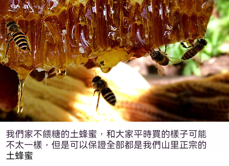 P_011.jpg