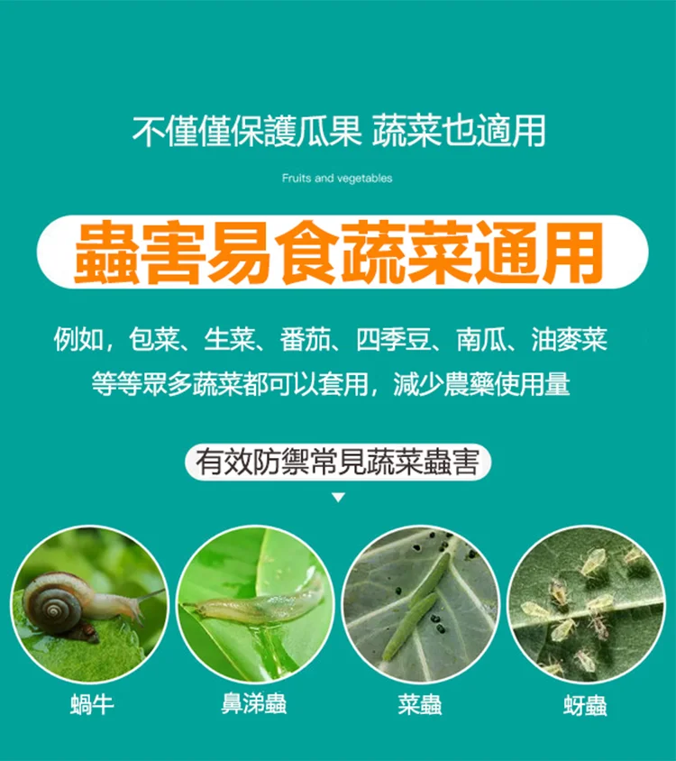 15.webp