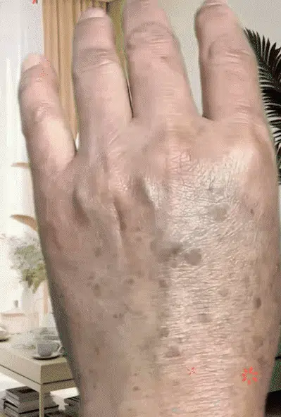 17.webp