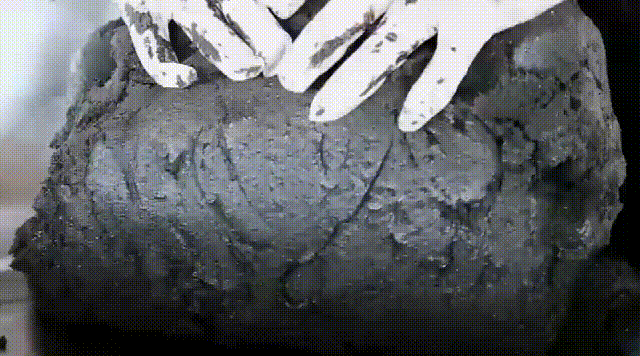 20241007_115936_024.gif