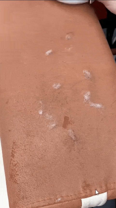 10007 (1).gif