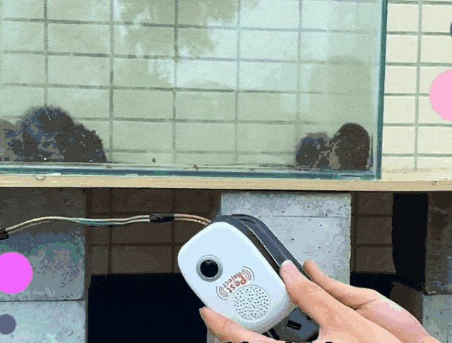 20260407_100254_015.gif