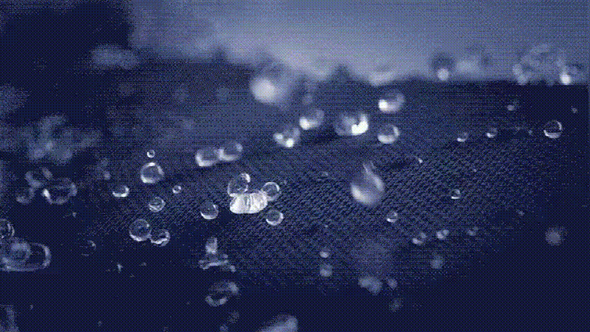 02 (1).gif