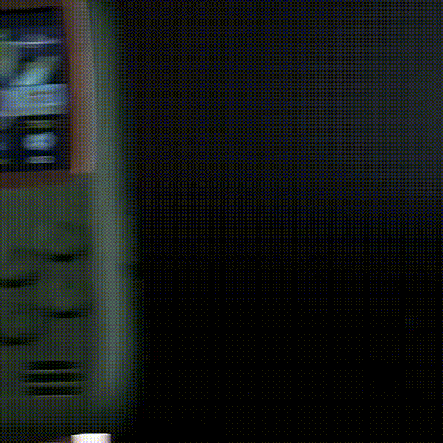 008.gif