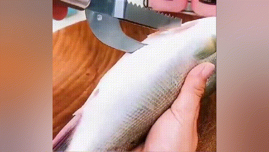 20240321_103814_011 (1).gif