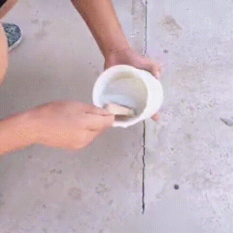 P_009.gif