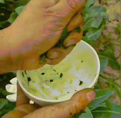 DM_20241105150701_005.gif
