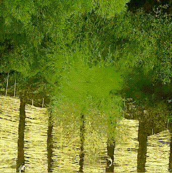 20240517_105700_038 (1) (1).gif