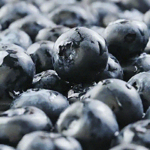 20240429_093730_012 (1).gif