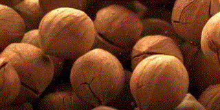 005.gif