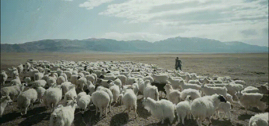 20231117_102005_015.gif