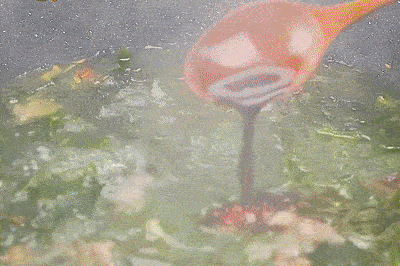 DM_20240709102643_030.gif