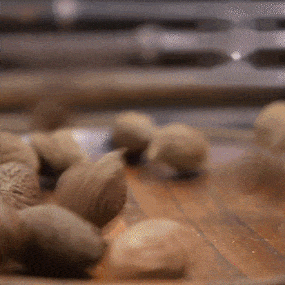 032.gif