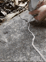DM_20241023145940_004.gif