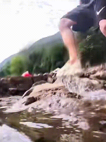 17.gif