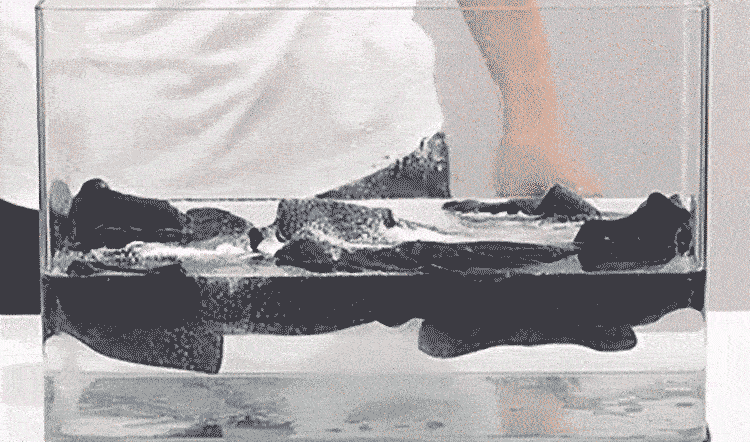DM_20240330104650_013.gif
