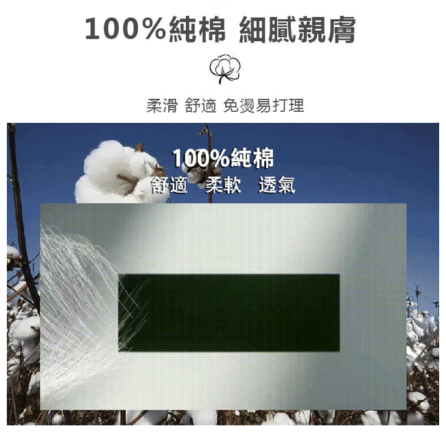 03.副本.gif